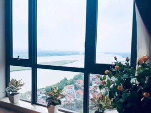 chính chủ bán 2 ngủ căn trục 09 74m2 view đảo đẹp nhất tòa chung cư sky forest ecopark: 