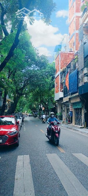 phố triệu việt vương 52m2 7tầng thang máy vị trí đắc địa