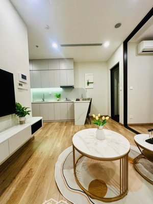 căn hộ 1 ngủ onsen, ecopark giá 3,x tỷ bao mọi loại phí