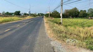 bán đất 250m2 full thổ mt đt 826b, long hựu đông, cần đước, long an, giá tốt 2,6 tỷ