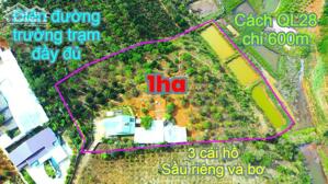 1ha nhà mái thái bằng đẹp, khu dân cư đông, đường bê tông tận nơi