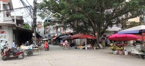 người nhà nhờ bán gấp lô đẹp dục tú, ô tô tránh giá hơn rẻ hơn khu xung quanh