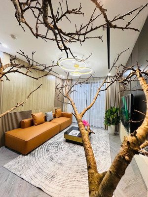 chính chủ cần bán căn hộ siêu phẩm 3pn+ đập thông tại vinhomes ocean park