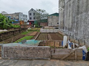 view hồ ô tô tránh kinh doanh-bán đất mai lâm-đông anh-60m2-hàng xóm vinhomes cổ loa