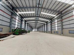 CHO THUÊ KHO XƯỞNG CẦN GIUỘC, LONG AN 2000M2 GIÁ 200TR- ĐƯỜNG CONT 24H- PCCC TỰ ĐỘNG
