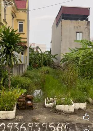 Bán đất chung cư tổ 6 thị trấn An Dương Hải Phòng