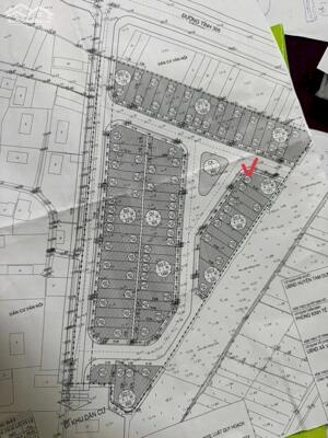 Bán lô góc 171m2 view vườn hoa đấu giá Hội Thịnh, Tam Dương