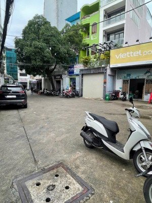 bán biệt thự hẻm xe hơi vip đường mai thị lựu quận 1 (ngang 9.5 x 15 ) cn 132m2