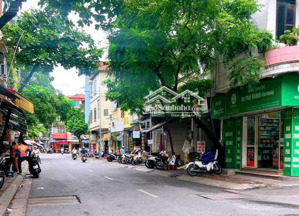 mặt phố vương thừa vũ - trung tâm thanh xuân - vỉa hè - kinh doanh - ô tô tránh - 52m2*4t - 23.7tỷ