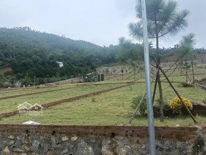 đón sóng đầu tư - đất hoà lạc - nhà máy in tiền