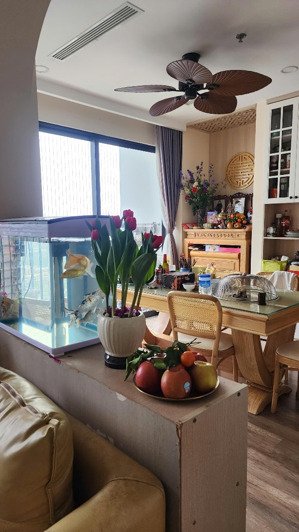 bán căn hộ haven park residences, 8,6 tỷ, 116m2, hàng hiếm tại xuân quan, văn giang, hưng yên