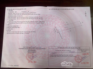 bán đất tại long tân, phú riềng, bình phước, 300 triệu, 550m2, giá ưu đãi đẹp