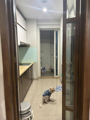 bán căn hộ tòa l4, hà nội, giá cực chất 11,5 tỷ, 114m2