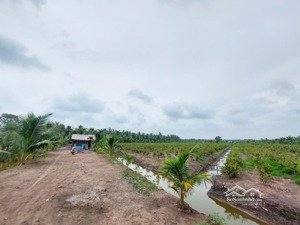 bán đất tại đường kênh 5, lê minh xuân, bình chánh, 34 tỷ, 11664m2, giá thương lượng, h. hồng 1%
