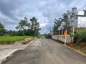 đất bảo lộc 381m² (10x39m), sẵn 100m² thổ cư đường nhựa lớn, gần trường học, dân cư đông