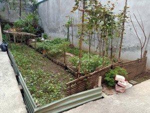 chỉ 120tr chính chủ bán nhà đất trung tâm mỹ đình lô góc, gần oto, mặt tiền khủng, xây ccmn quá đẹp