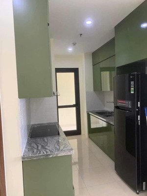 cho thuê cc iec residences tứ hiệp, thanh trì, 70m, 2n2vs, full đồ, 8tr5