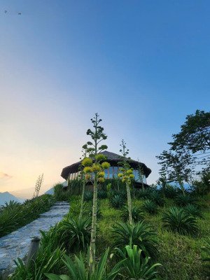 cơ hội sở hữu mảnh đất vườn nghỉ dưỡng tại vị trí độc đáo, diện tích 1000m²