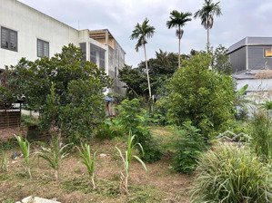 lô đất đẹp ngay sát mặt trục hy tái - hồng thái - an dương - hải phòng