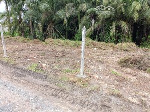 bán 1410m2 đất 2 mặt tiền - 7,5tỷ đường nhị bình 5, xã nhị bình, hóc môn, hồ chí minh