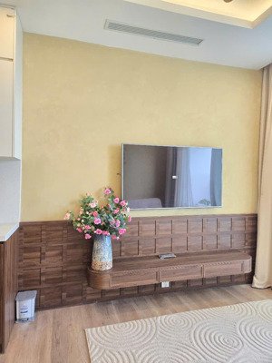 bán căn hộ swanlake onsen ecopark 67m2, ban công đông nam, view hồ thiên nga nhà đẹp full đồ