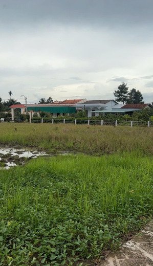 bán lô đất 101m2 thổ cư chỉ 430 triệu sổ riêng cách tp.hcm 1 tiếng