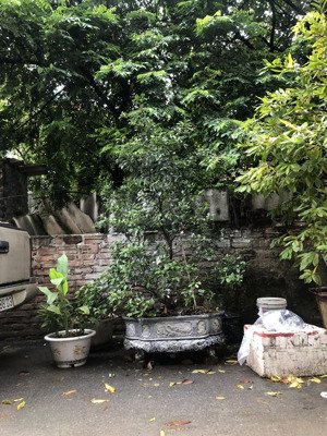 bán đất trung tâm huyện hoài đức , vân canh diện tích 50 m - mặt tiền rộng , gần ô tô