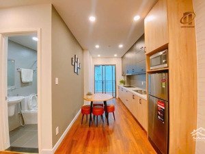 căn hộ 1 phòng ngủ, đường cửu long, tân bình, gần sân bay tân sơn nhất, bệnh viện đa khoa tâm anh