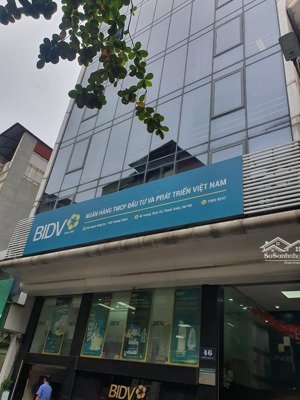 bán nhà mặt phố vương thừa vũ, q thanh xuân, 100m2, 8 tầng, thang máy, mt 8m, giá 60 tỷ.