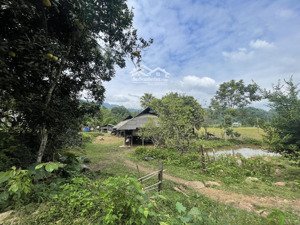 2064m2 sẵn vườn cây, ao cá, suối bám quanh đất chi có 799tr