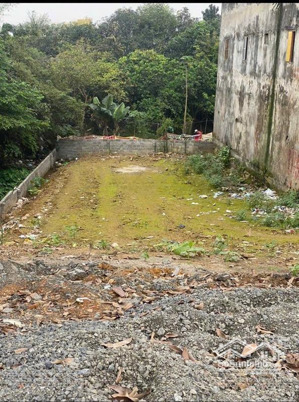 tôi chính chủ cần bán mảnh đất mặt đường hồ chí minh, sát đại học lâm nghiệp giá tốt