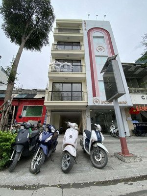 cần cho thuê cửa hàng mặt phố 97 ô chợ dừa và 130 đông các, phường đống đa, hn.