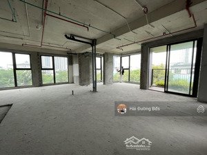 giá nào cũng bán - 2 căn thuỷ tiên villas ecopark thô, có thể đập thông, thang máy riêng tận căn hộ