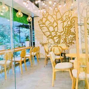 cho thuê nhà mặt phố ngô thì nhậm dt 285m² x 2 tầng, mt 11 m, kiểu biệt thự, nhà mới.