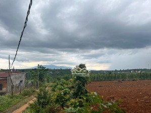 bán 1000 m2 đất thổ cư có nhà c4 với 3 pn tại đan phượng, lâm hà, lâm đồng