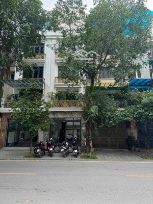 view biệt thự -- chân chung cư -- sát mp quang trung -- vị trí vàng -- hot nhất kđt văn phú