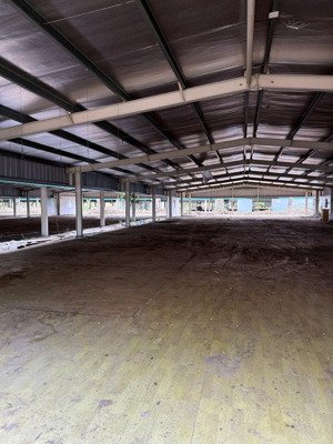 cho thuê 4ha có kho sẵn đường xe cont sát sông nhà bè, sông soài rạp chỉ 65k/m².