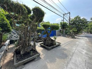 bán nhà xưởng 2.866 m2 - full thổ cư - 2 mặt tiền đường thanh niên, bình chánh