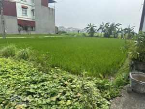 bán đất tại đoan bái, hiệp hòa, bắc giang, giá tốt chỉ với 3,7 tỷ, 140m2