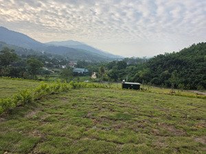 1500m đất đông xuân, quốc oai, giá rẻ phù hợp làm nhà vườn,đất đẹp bằng phẳng, view săn mây ngoại ô