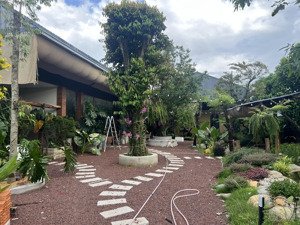 cần bán biệt thự vườn mặt tiền hưng định gần chợ búng cmt8