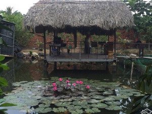 bán kho tiền chế + nhà cấp 4 dt 1600m2 có 200m2 thổ cư (22 x 65) , giá 9,4 tỷ tl