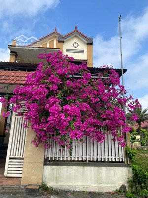 chính chủ bán nhà tại lương ninh, quảng ninh, quảng bình