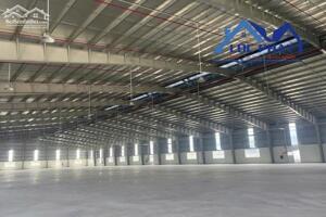 Cho thuê nhà xưởng 19.000m2 giá rẻ chỉ 1,2 tỷ/tháng (4,3usd/m2 nhà xưởng). KCN Nhơn Trạch-Đồng Nai