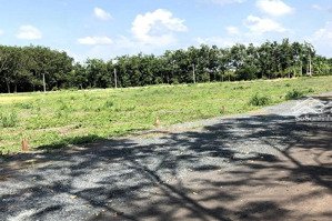 cần cho thuê 1.500m2 đất cln ngay đường bông văn dĩa, tân nhựt, bình chánh, chỉ 4tr/ tháng