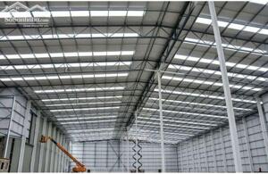 Cho Thuê Nhà Xưởng Khu Vực Long Nguyên, Huyện Bàu Bàng, Bình Dương