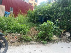 bán đất đẹp hải bối - ô tô đỗ cửa - gần cầu thăng long, nhật tân 50m2 4.8 tỉ