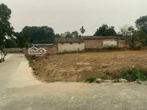 hàng hiếm tại tân hương, 1,65 tỷ, 231.8m2 đất thổ cư