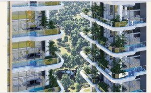 căn hộ gần times city từ 1 ngủ, 3 ngủ cđt tân á đại thành