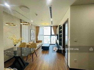 cho thuê căn hộ chung cư cao cấp discovery central - 8b lê trực, 100m2, 2pn, view lăng bác